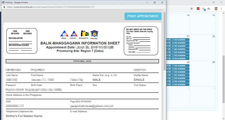 Balik Manggagawa information sheet