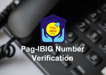 Pag-IBIG number verification