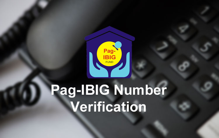 How to Track Pag Ibig Number  
