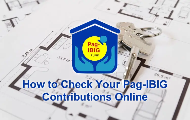 How to Check Your Pag-IBIG Contributions Online