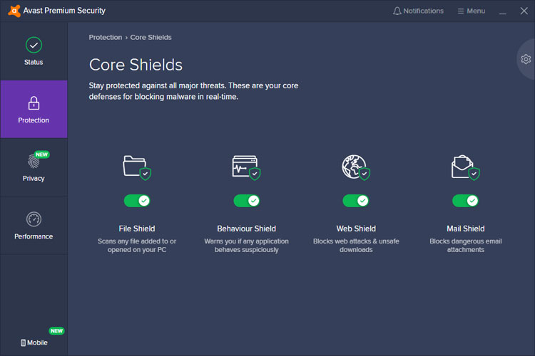 Disable Avast core shield