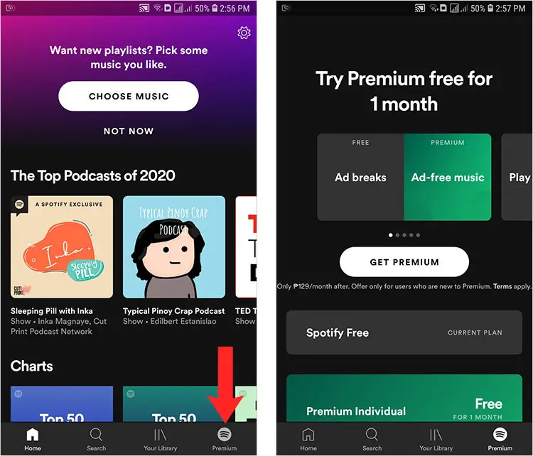 Spotify premium plan