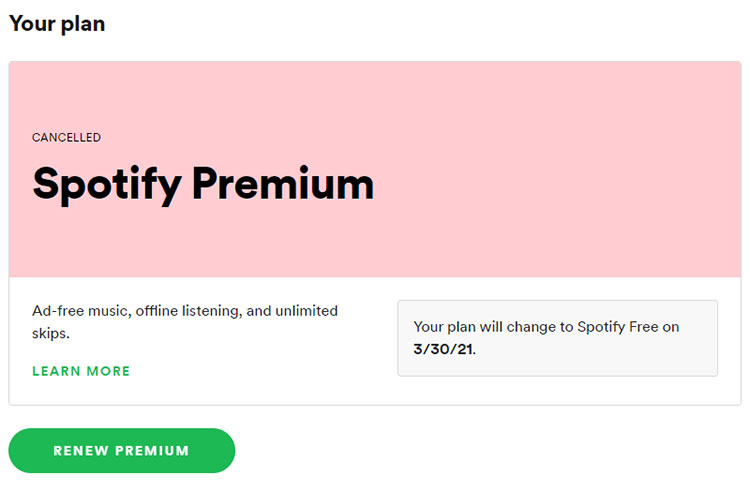 Spotify Premium plan