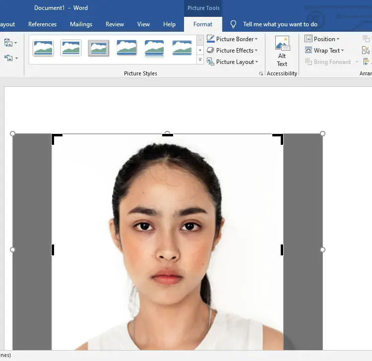 2x2 passport photo maker program free computer