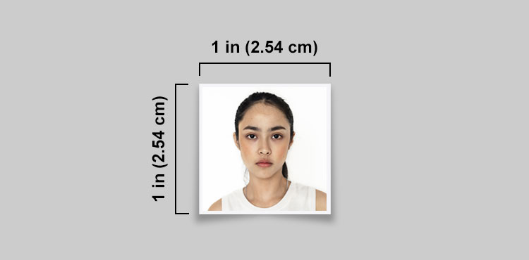 How to Make a 1x1 Picture in Microsoft Word - Tech Pilipinas