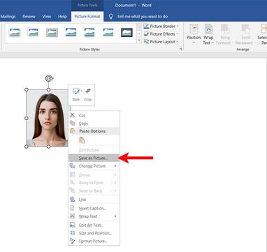 How to Make a Passport Size Picture in Microsoft Word - Tech Pilipinas