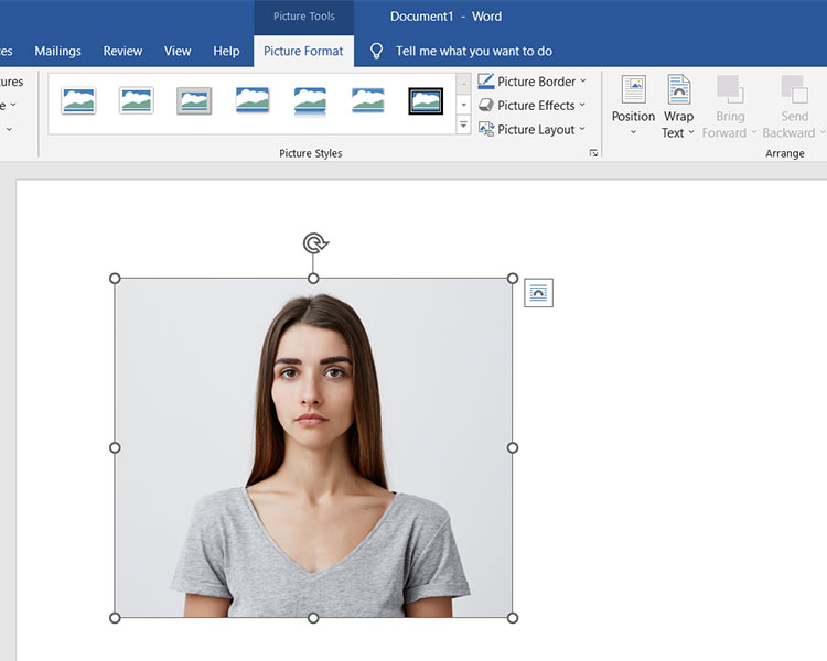 How to make a passport size picture in Microsoft Word