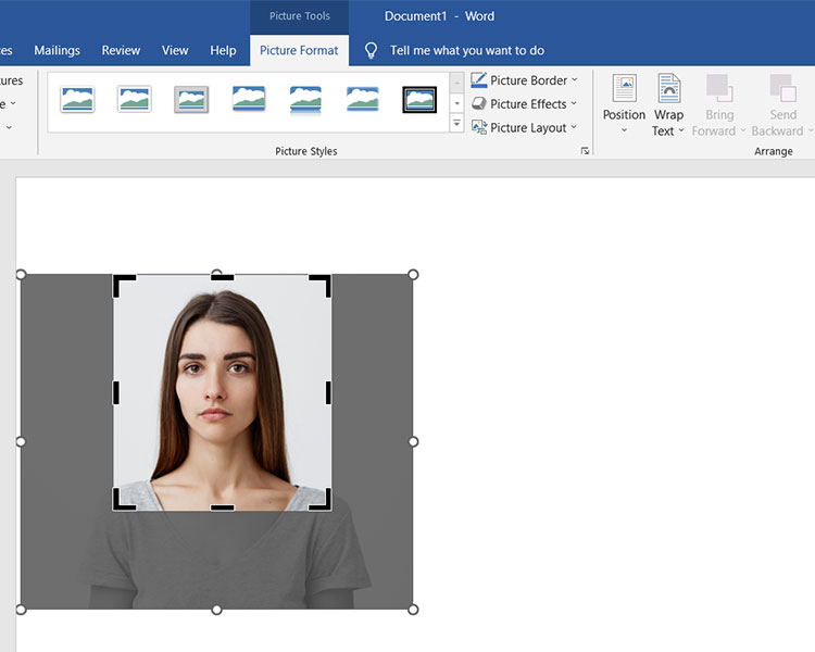 How to make a passport size picture in Word