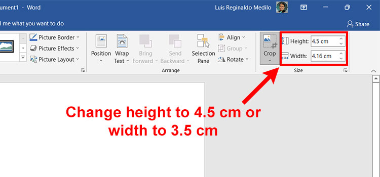 Create a passport size picture in Word