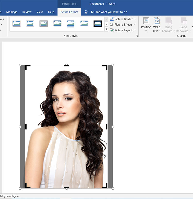How to make a wallet size photo using Microsoft Word