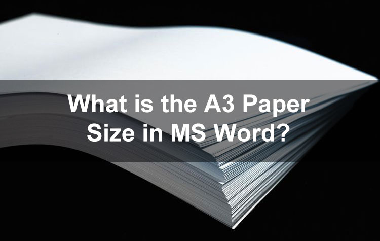 What is the A3 Paper Size in Microsoft Word?