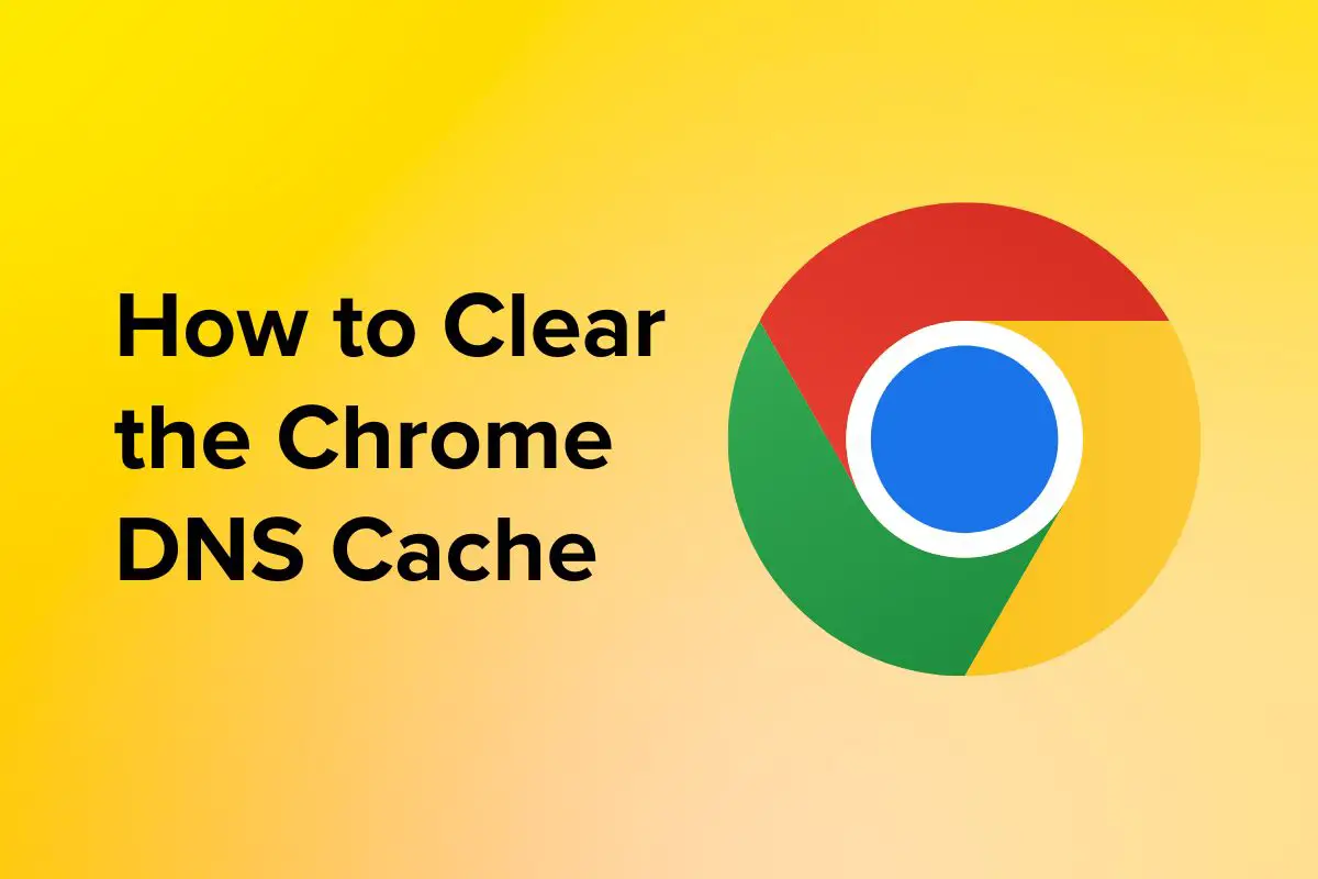 chrome://net-internals/#dns – How to Clear the Chrome DNS Cache