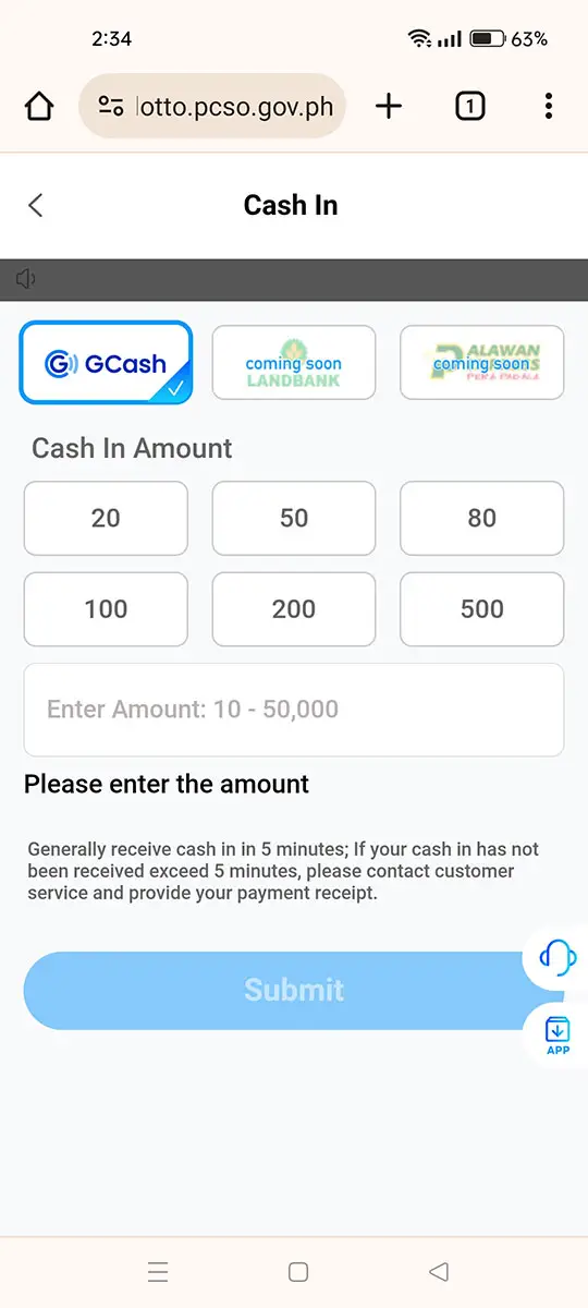Enter the cash in amount