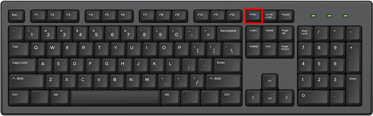Print Screen or PrtSc key on the Windows keyboard