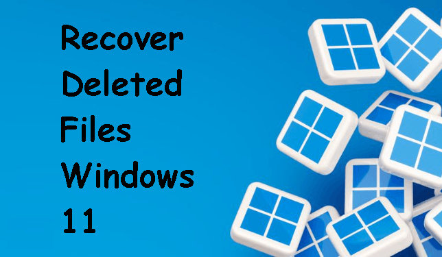 How to Recover Deleted Files on Windows 11 in 2026