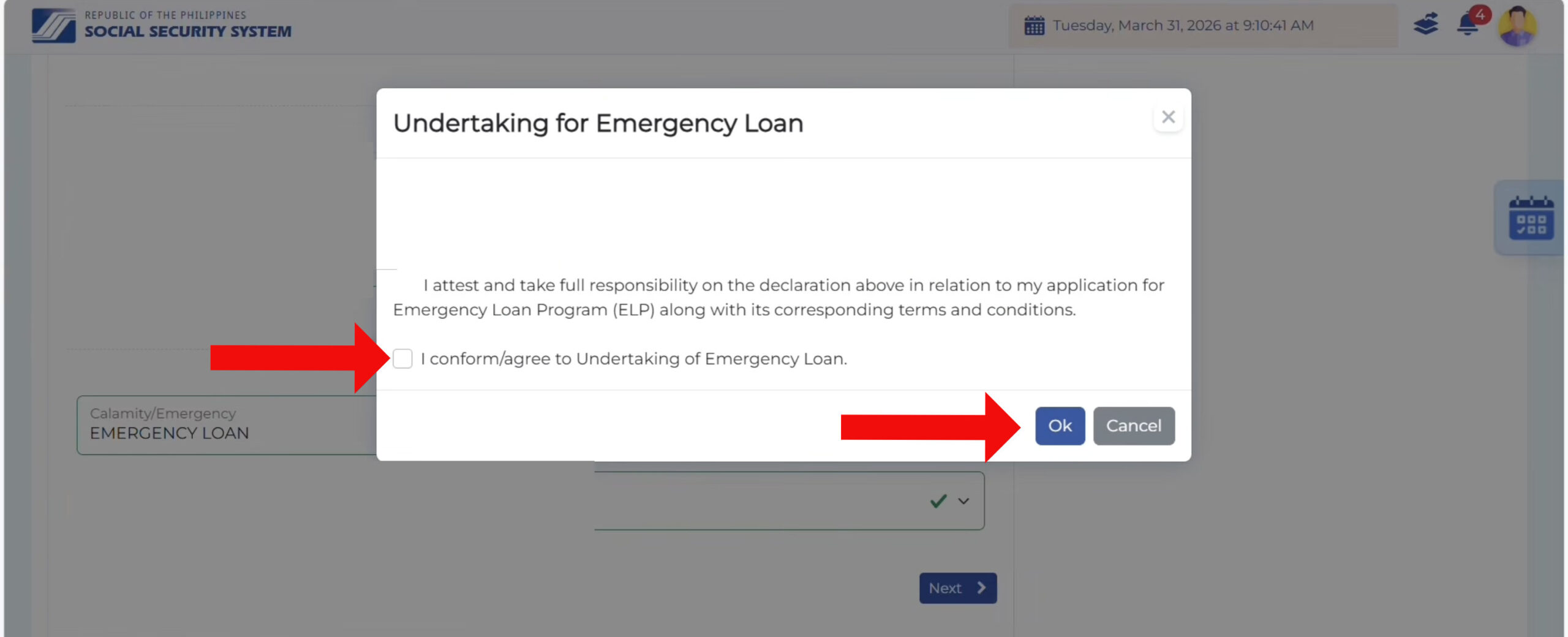 Undertaking for emergency loan