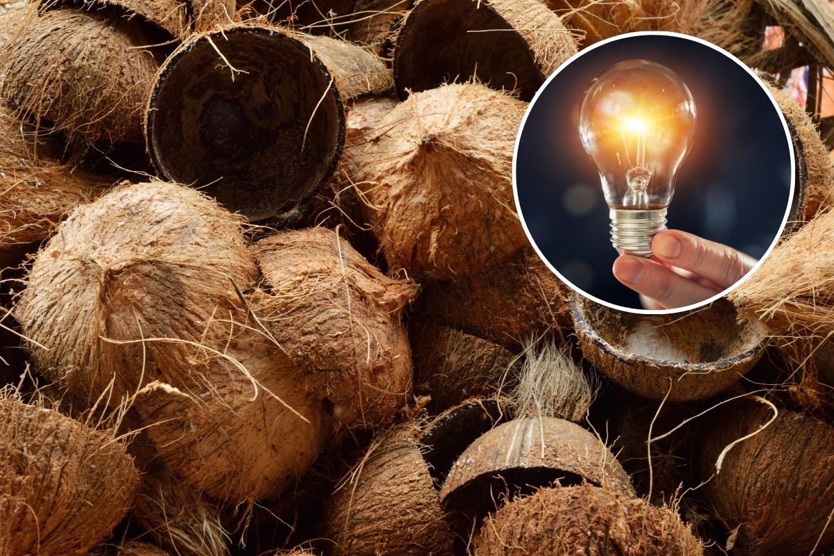 Davao coconut shells eyed by Malaysian firm for energy use