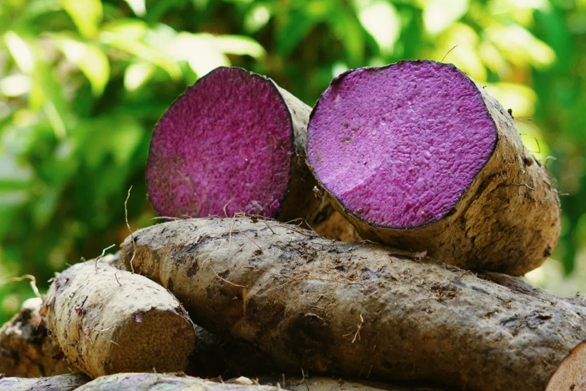 Global ube market valued at $595M, but Philippines earns just $3M