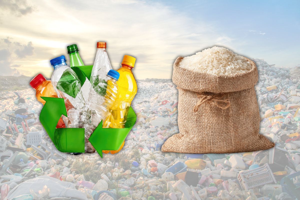 House bill would let Filipinos exchange recyclable waste for rice, groceries and cash